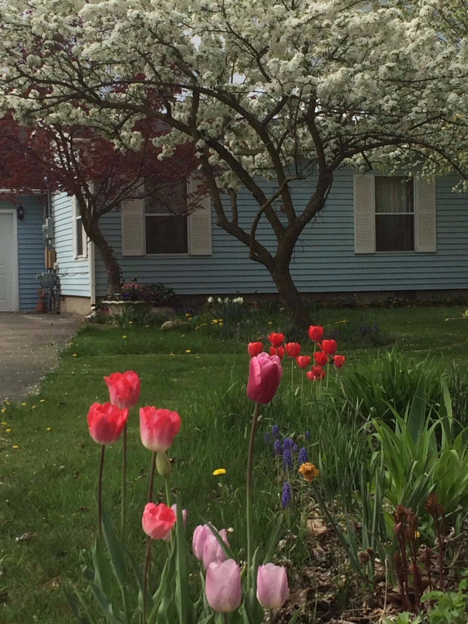 45951 Hull Road Belleville, MI 48111 - Photo 1 of 10 Photo 1