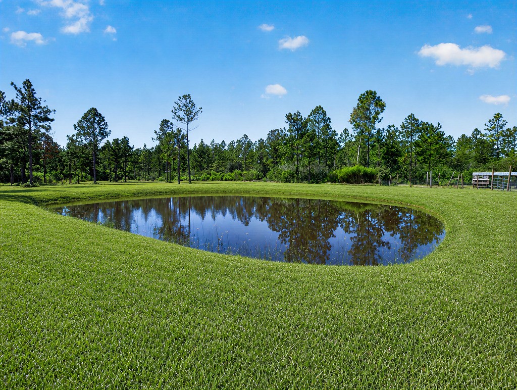 6195 River Road Callahan, FL 32011 - Photo 75 of 91 Gallery Image 75