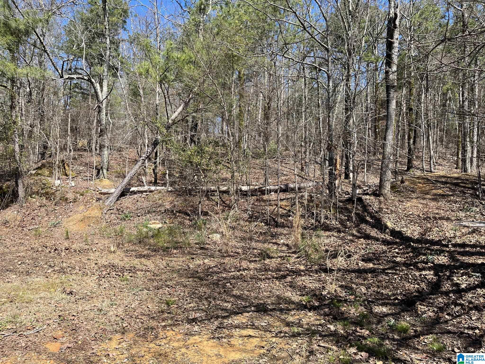 150 Wilson Mine Road, Unit 910 Piedmont, AL 36272 - Photo 23 of 36