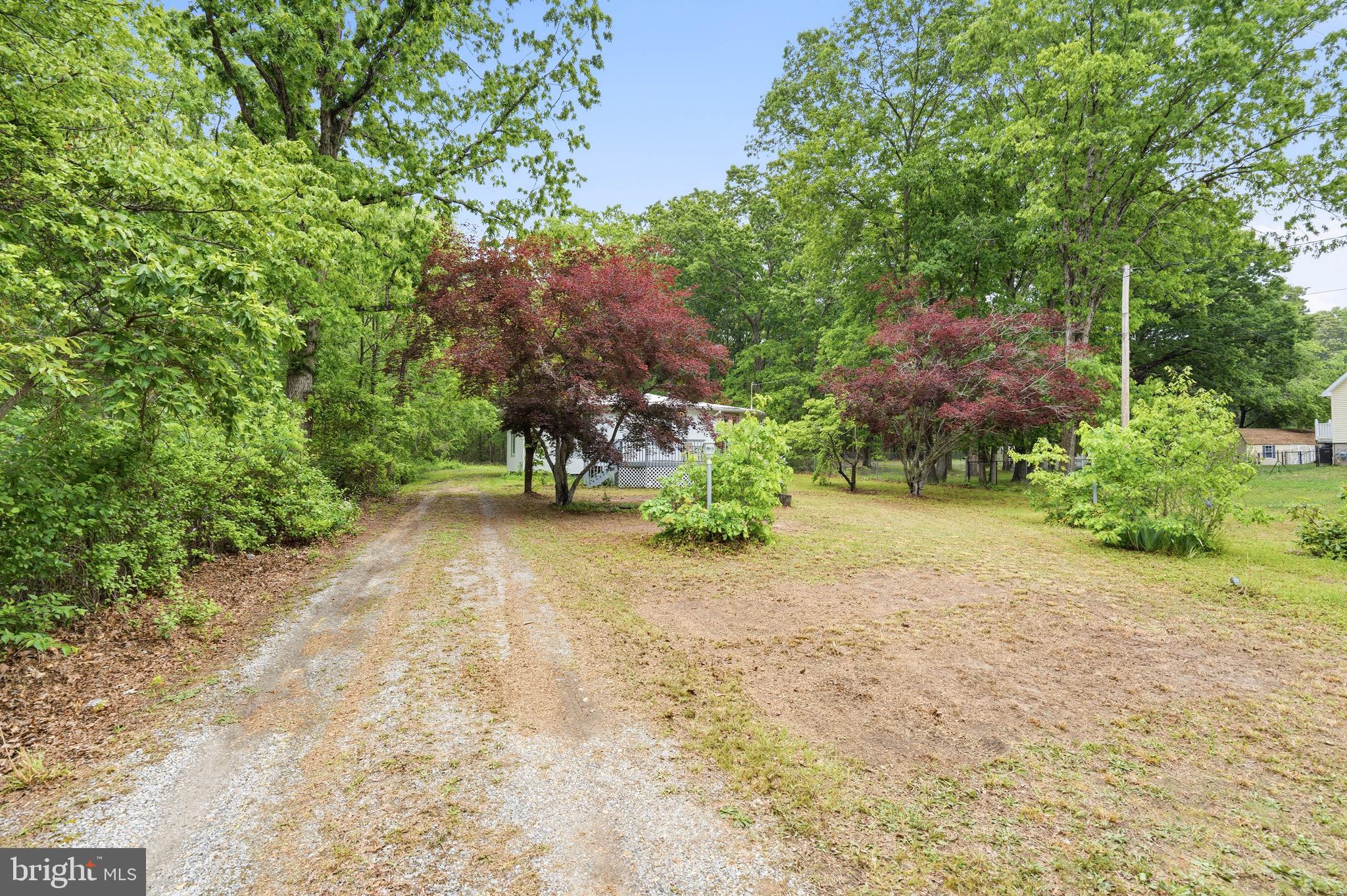 188 Carlisle Place Road Leesburg, NJ 08327 - Photo 3 of 36 a view of backyard with outdoor space