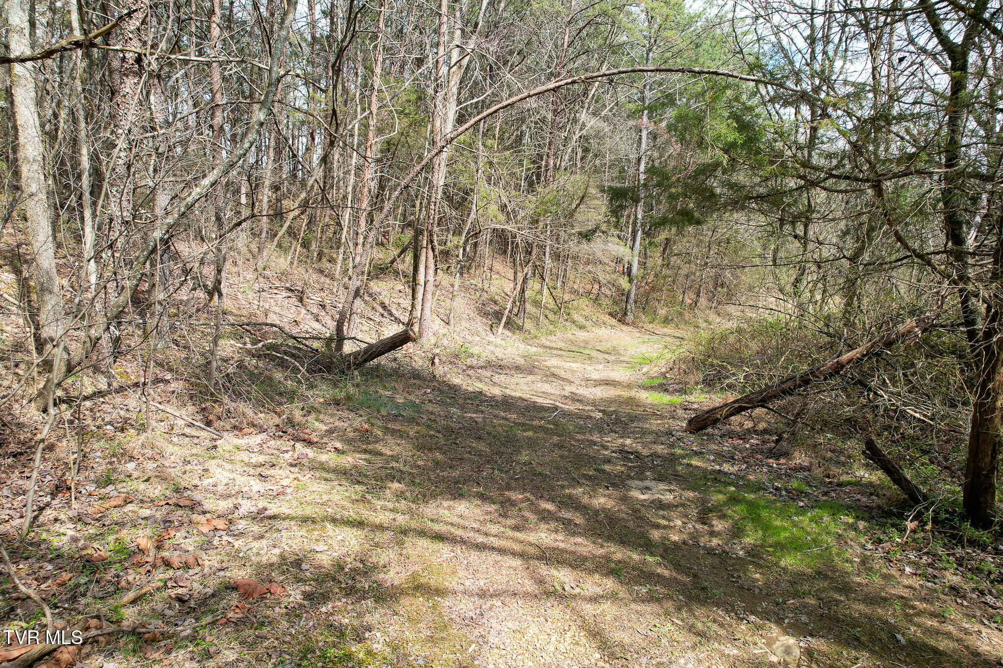 480 Obe Kirk Loop Mohawk, TN 37810 - Photo 50 of 54 DJI_0179