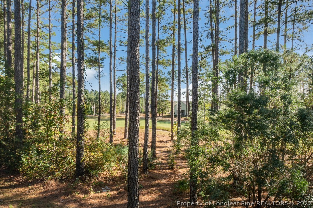 79 Falcon Ridge Drive Spring Lake, NC 28390 - Photo 36 of 36 Gallery Image 36