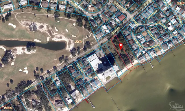 a close up of a tree in a yard