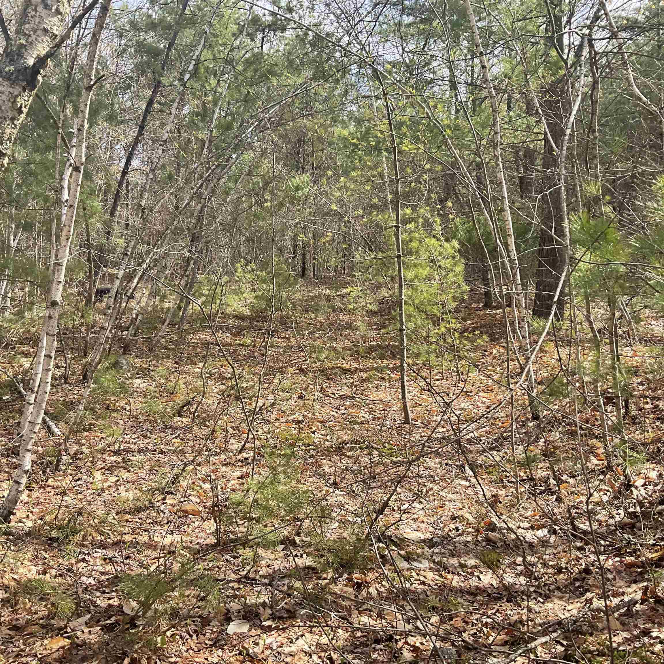 0 Shepherds River Road, Unit 29C Brownfield, ME 04010 - Photo 11 of 15 Gallery Image 11