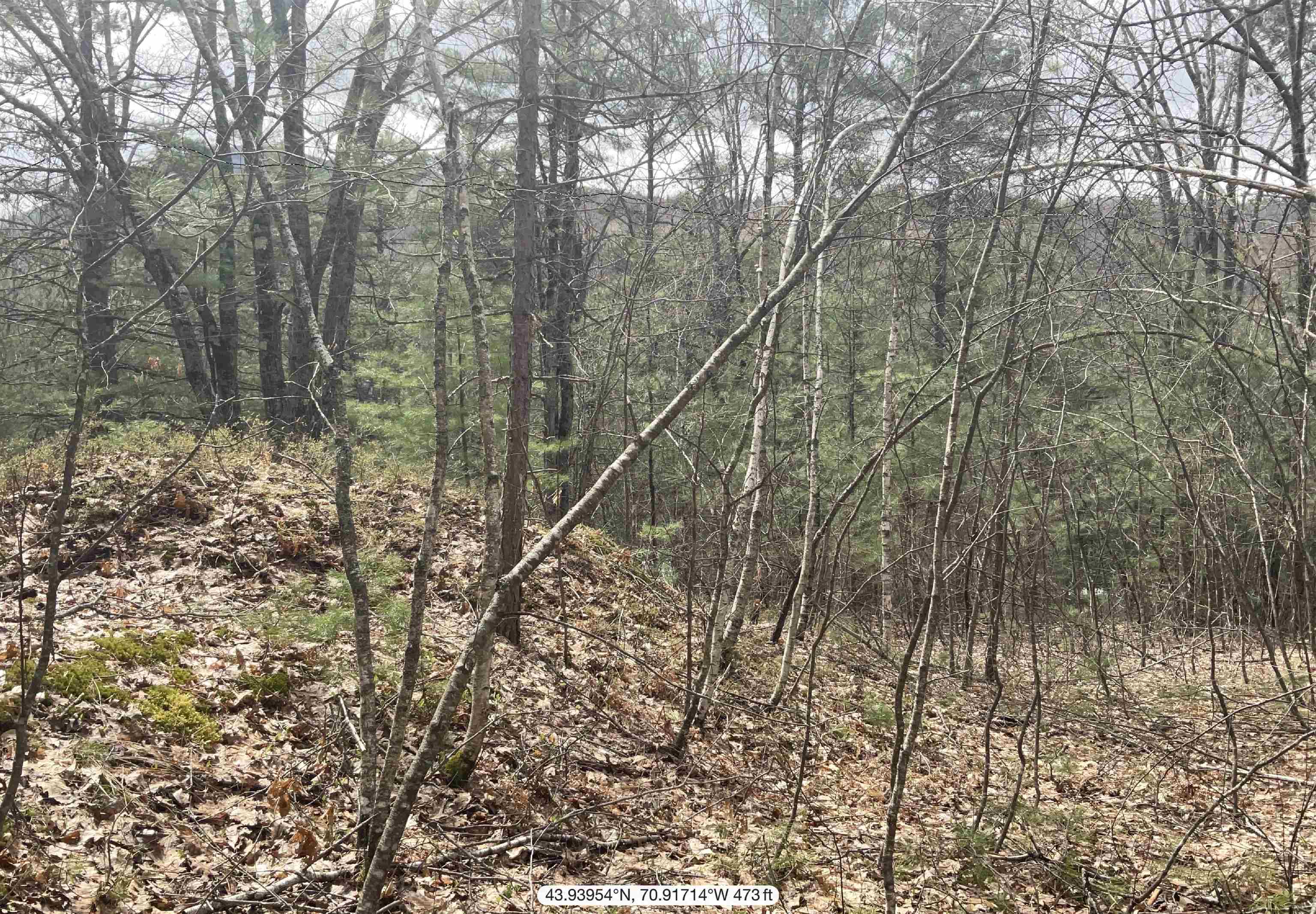 0 Shepherds River Road, Unit 29C Brownfield, ME 04010 - Photo 12 of 15 Gallery Image 12