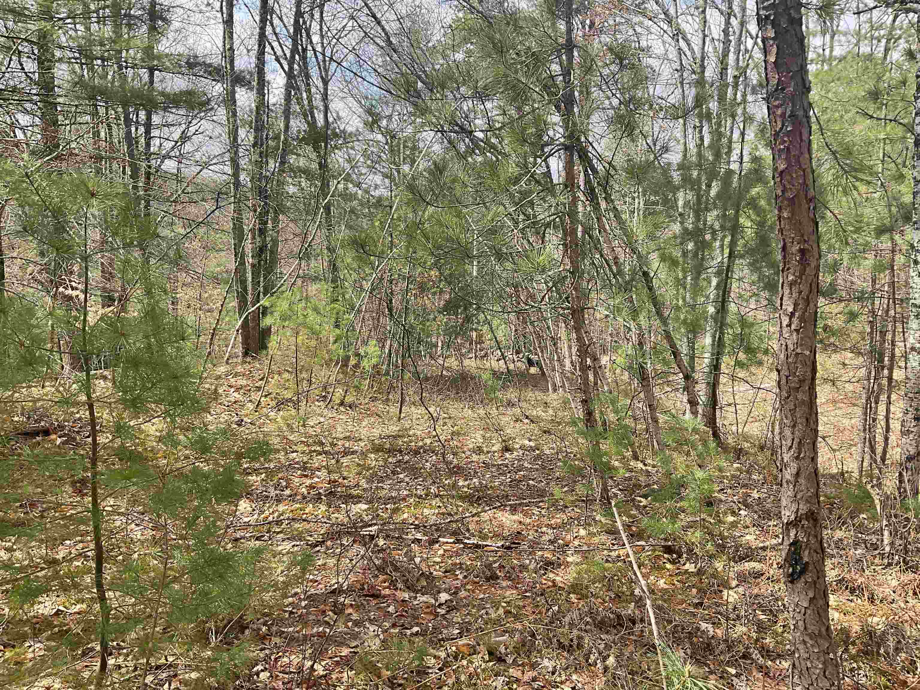 0 Shepherds River Road, Unit 29C Brownfield, ME 04010 - Photo 14 of 15 Gallery Image 14