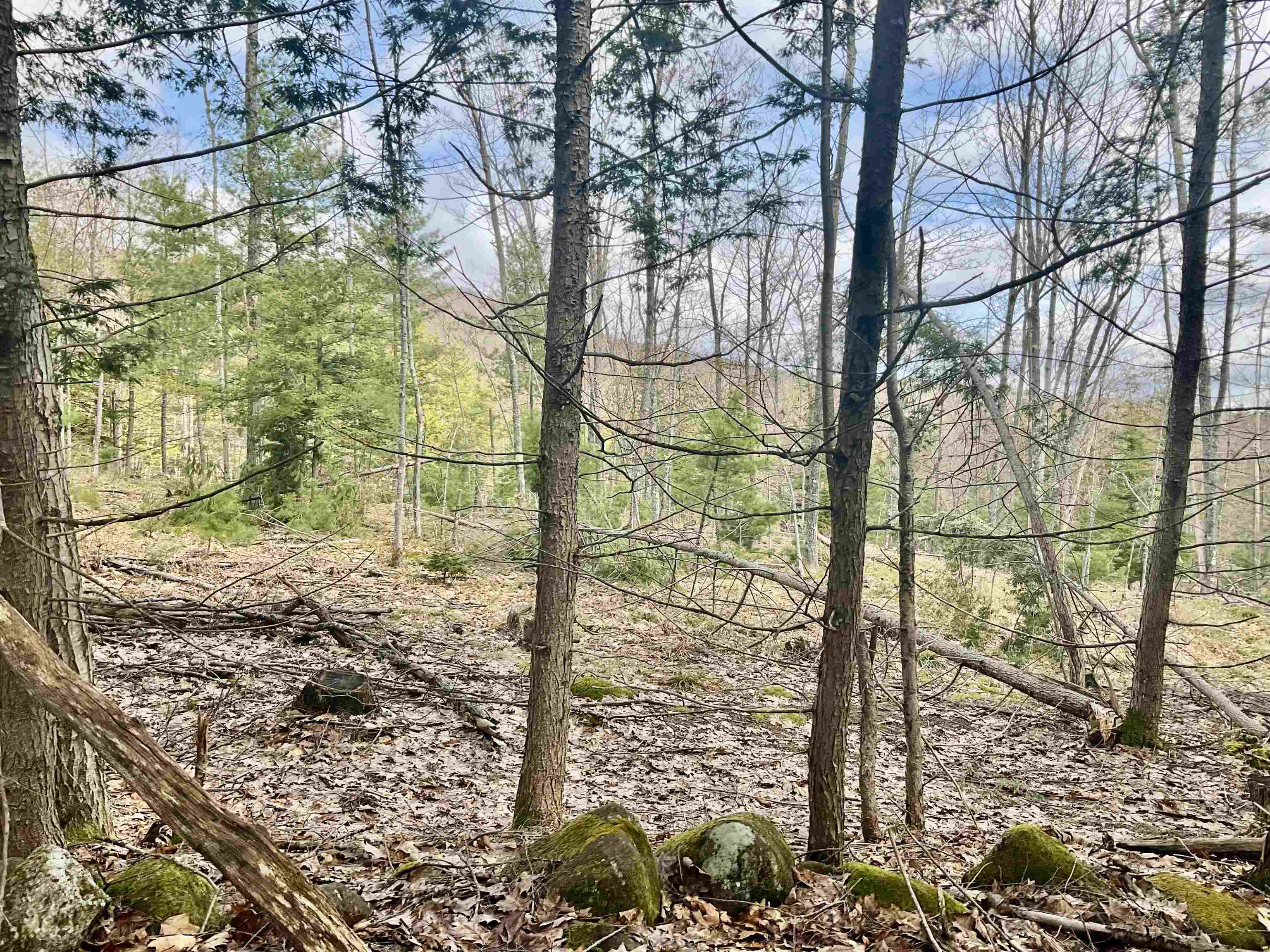 0 Shepherds River Road, Unit 29C Brownfield, ME 04010 - Photo 15 of 15 Gallery Image 15