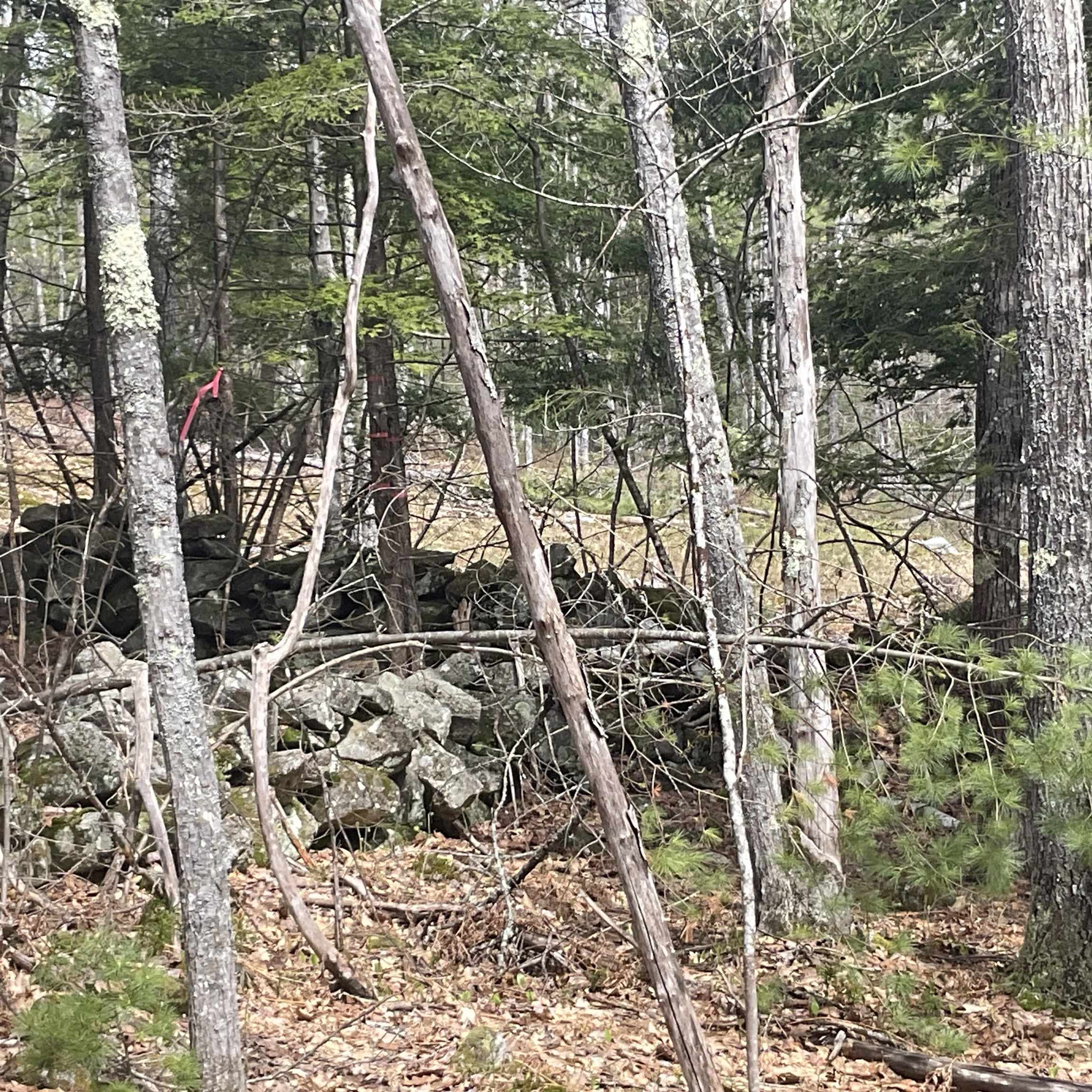 0 Shepherds River Road, Unit 29C Brownfield, ME 04010 - Photo 3 of 15 Gallery Image 3