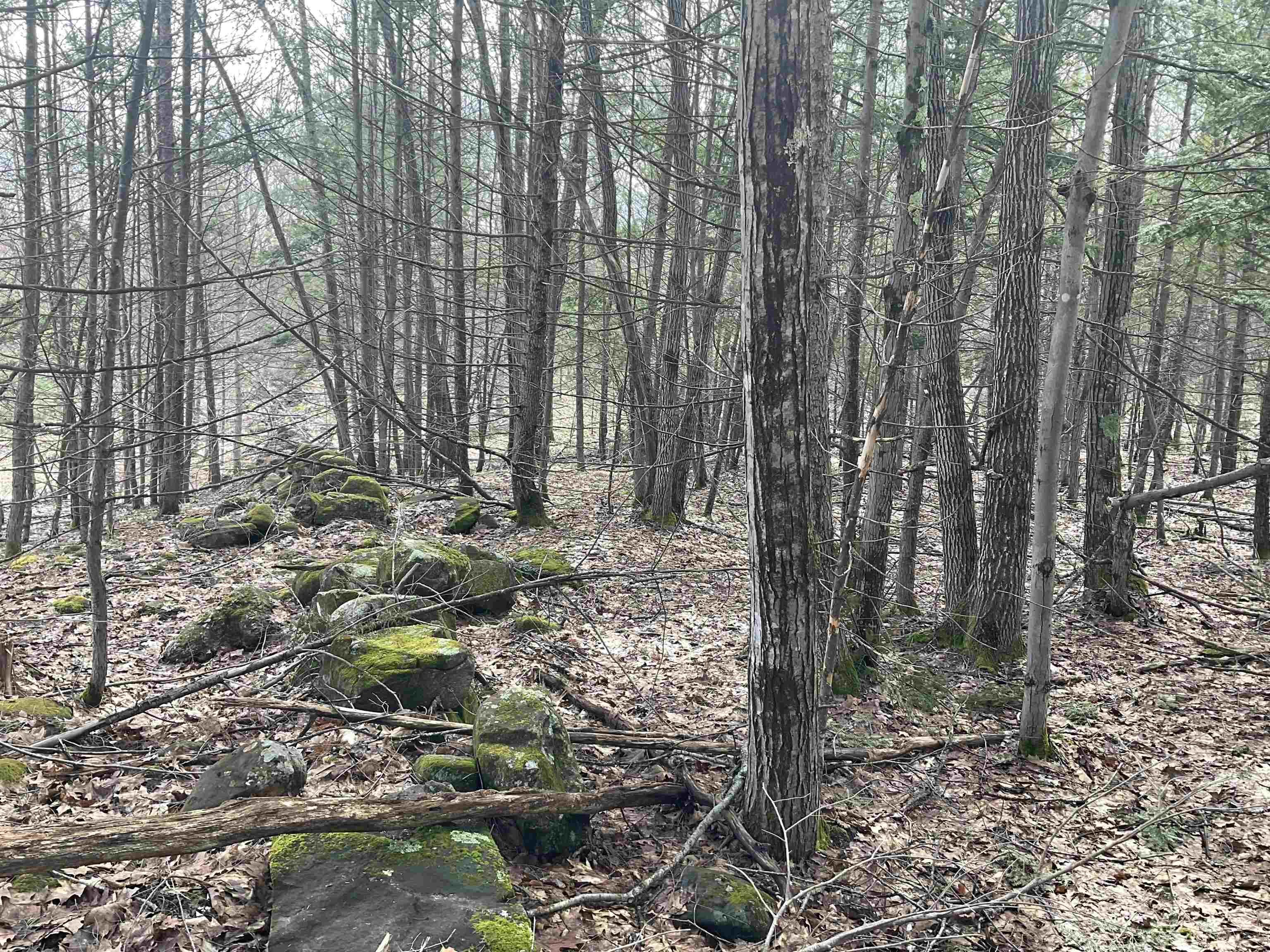 0 Shepherds River Road, Unit 29C Brownfield, ME 04010 - Photo 4 of 15 Gallery Image 4