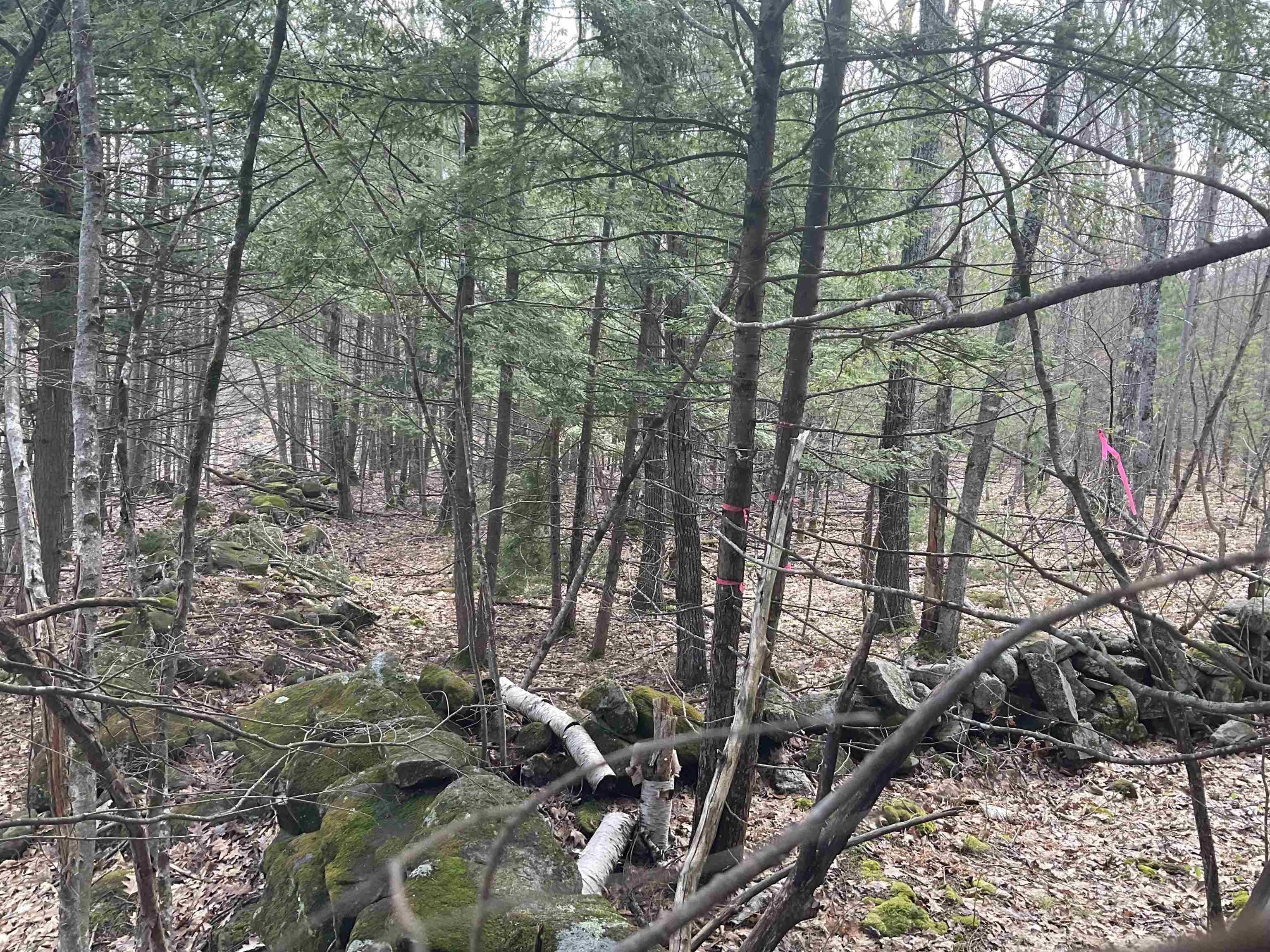 0 Shepherds River Road, Unit 29C Brownfield, ME 04010 - Photo 5 of 15 Gallery Image 5