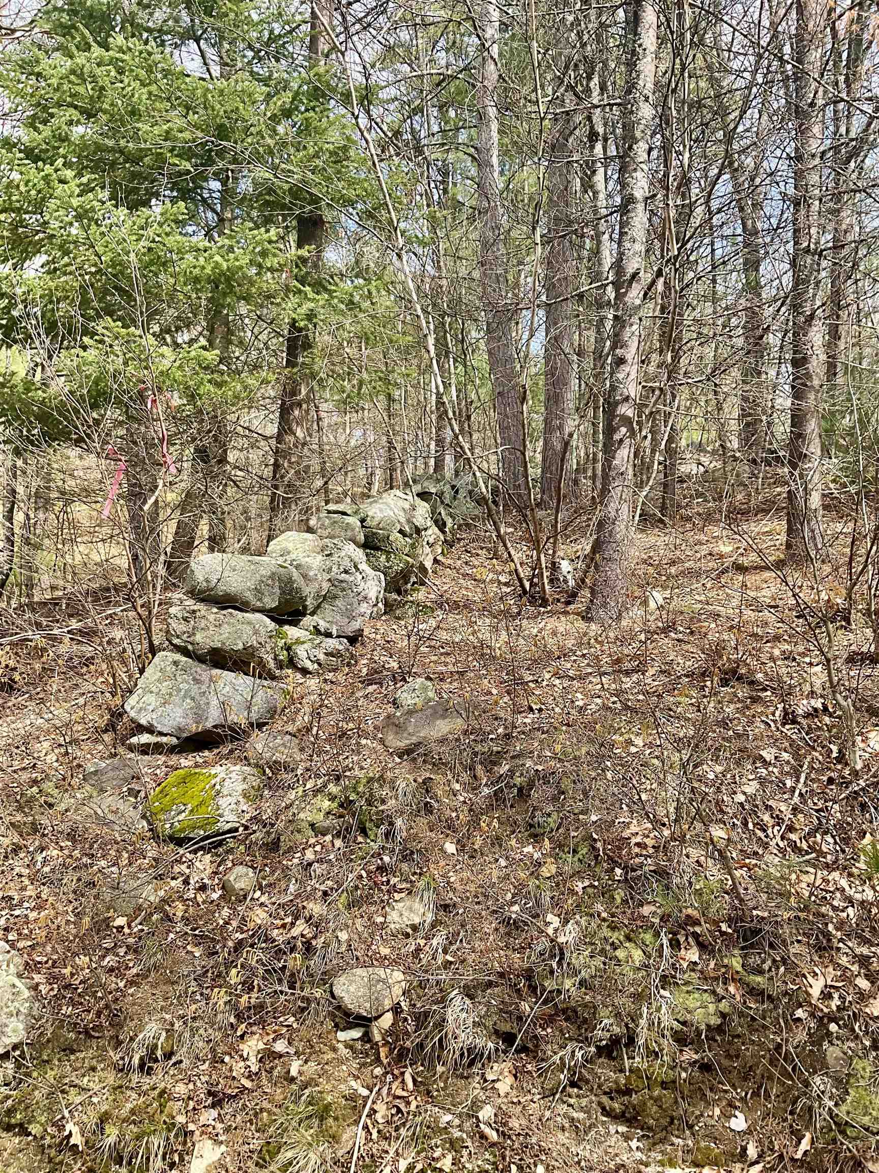 0 Shepherds River Road, Unit 29C Brownfield, ME 04010 - Photo 7 of 15 Gallery Image 7