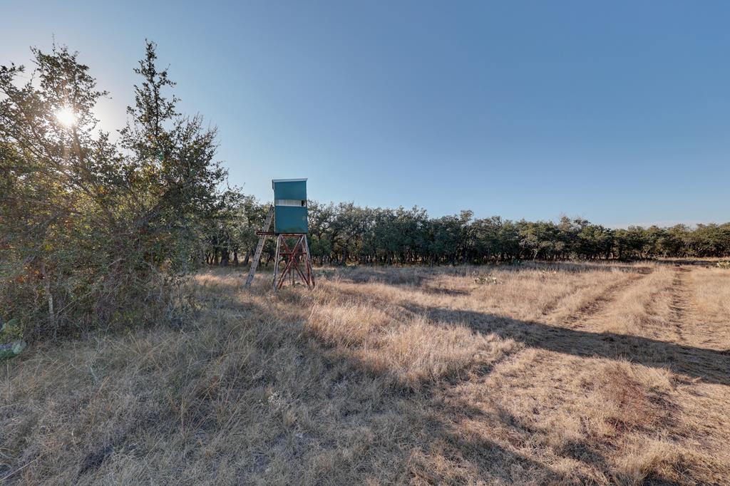 88 Wendel Road Harper, TX 78631 - Photo 6 of 20