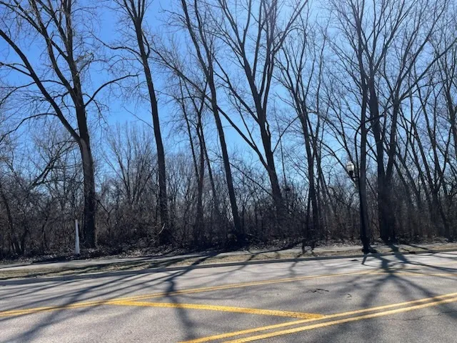 $600,000 | 3 South Street, Elgin, IL 60124