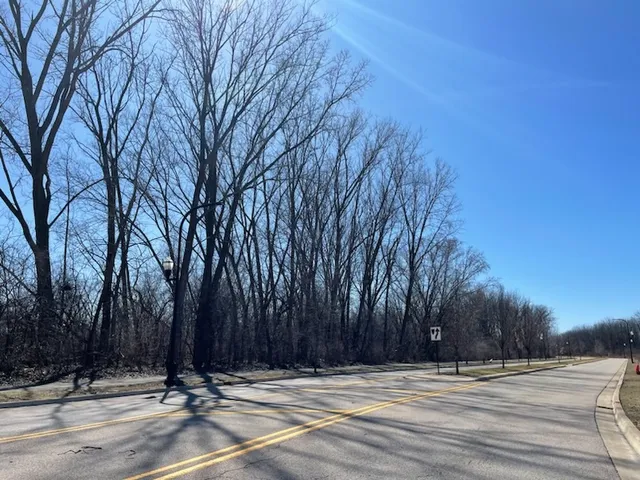 $600,000 | 3 South Street, Elgin, IL 60124