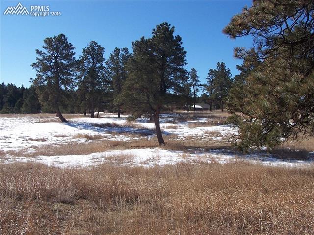 8725 Wildridge Road Colorado Springs, CO 80908 - Photo 2 of 2 Gallery Image 2