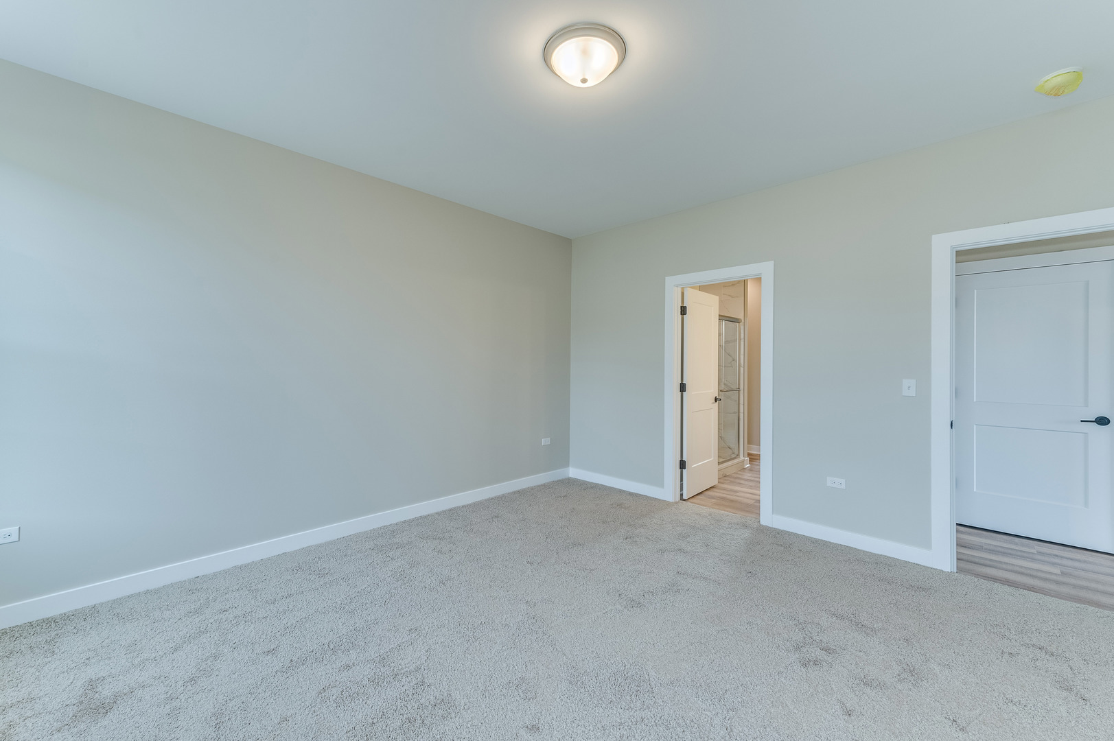 1104 Freedom Road Elburn, IL 60119 - Photo 12 of 24 an empty room with closet area and mirror
