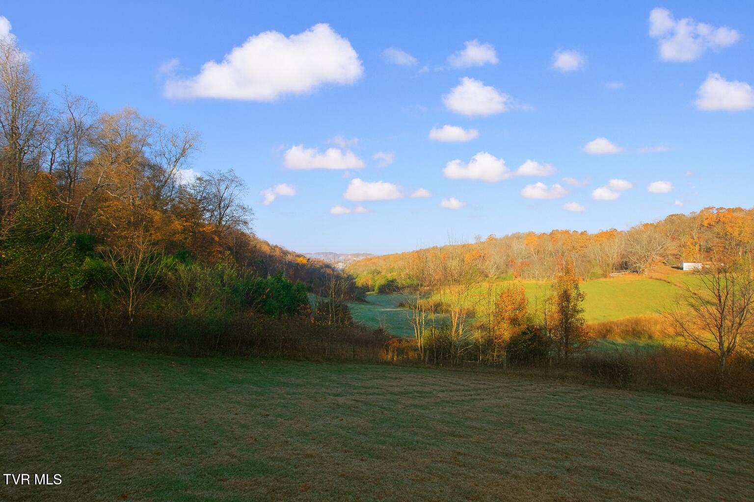 421 Haw Ridge Road Piney Flats, TN 37686 - Photo 12 of 36 1000031890