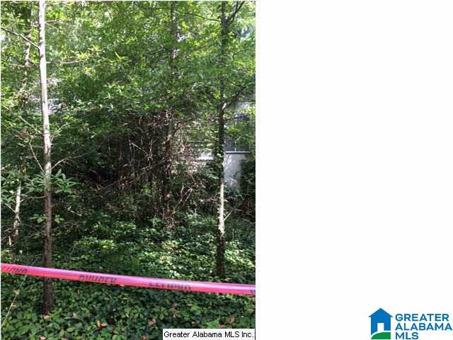 4272 Old Leeds Road Birmingham, AL 35213 - Photo 6 of 8