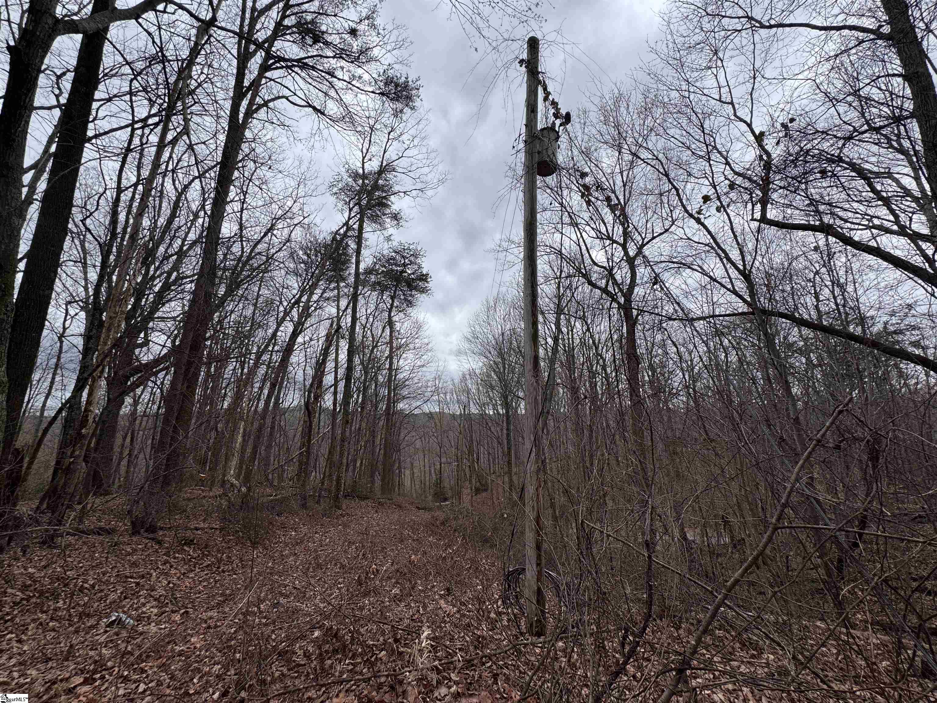 100 Chestnut Mountain Road Travelers Rest, SC 29690 - Photo 6 of 14 Gallery Image 6