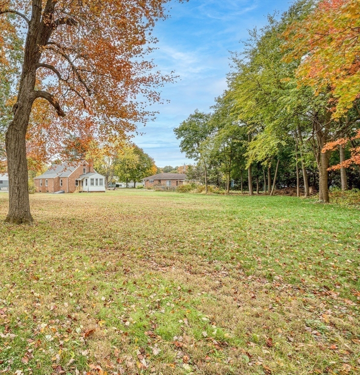 142 Amherst Street Ludlow, MA 01056 - Photo 32 of 34 a view of a field with an trees