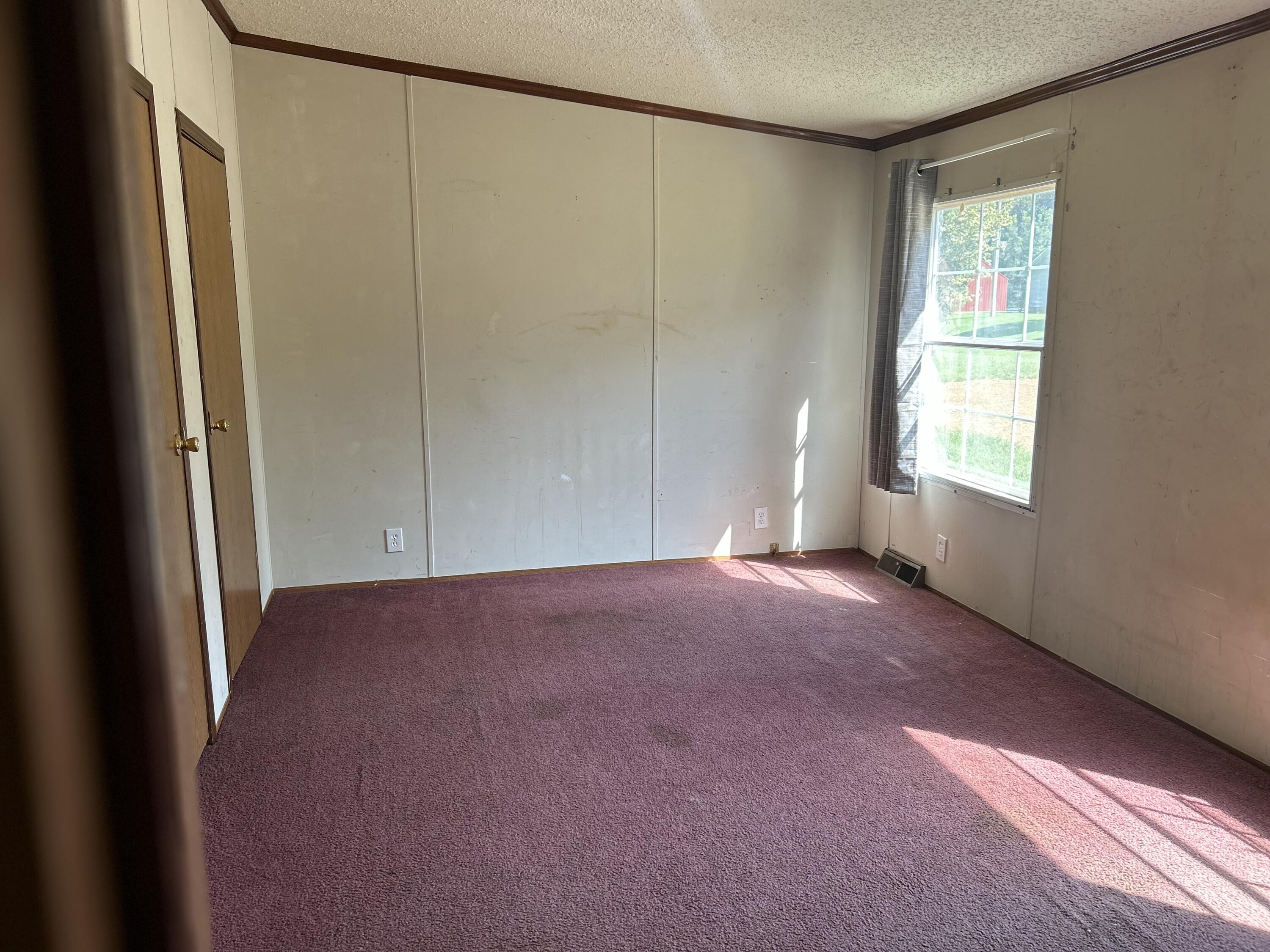 553 Borden Road Wickliffe, KY 42087 - Photo 65 of 66 IMG_4593