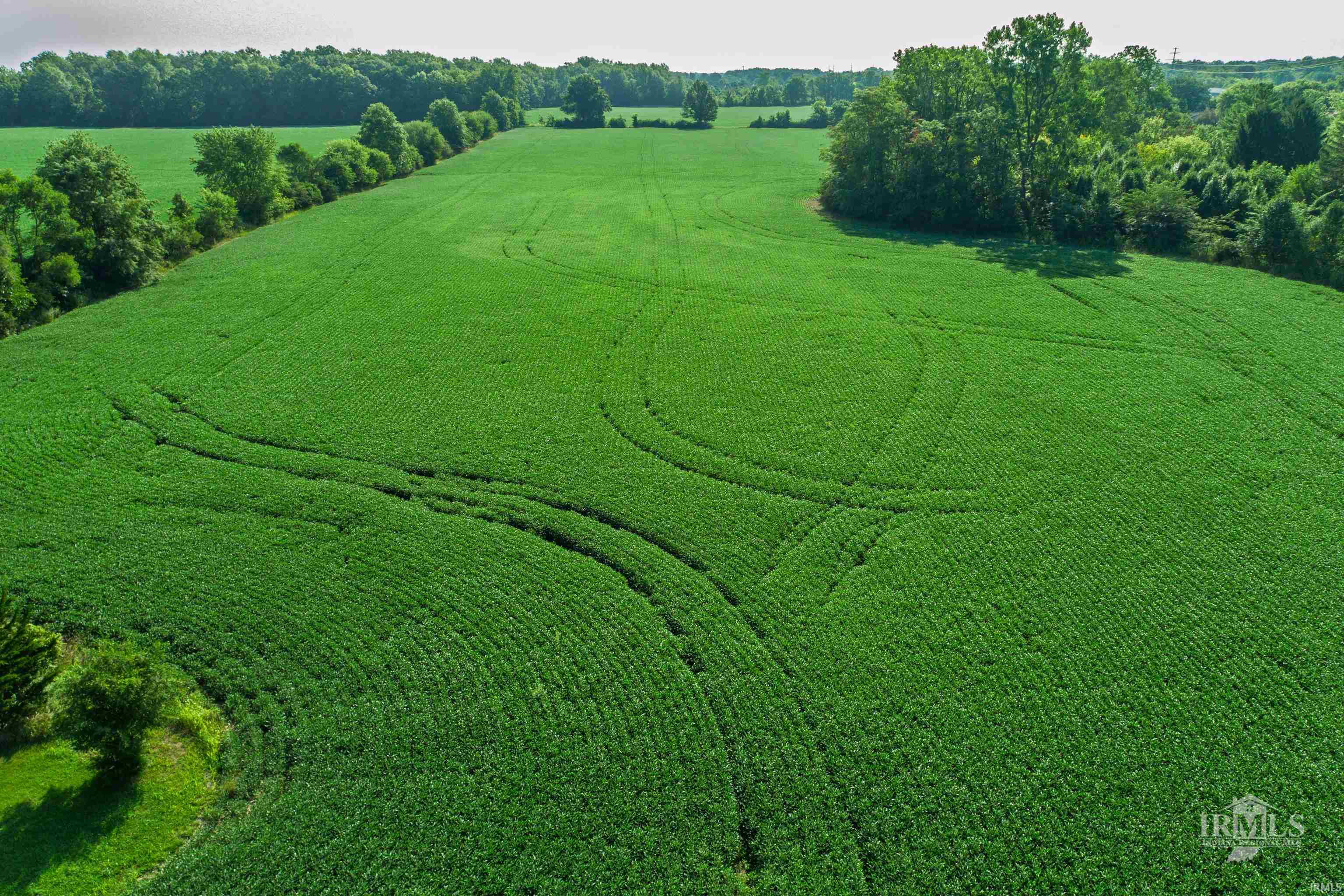 0 Moore Muncie, IN 47304 - Photo 11 of 23