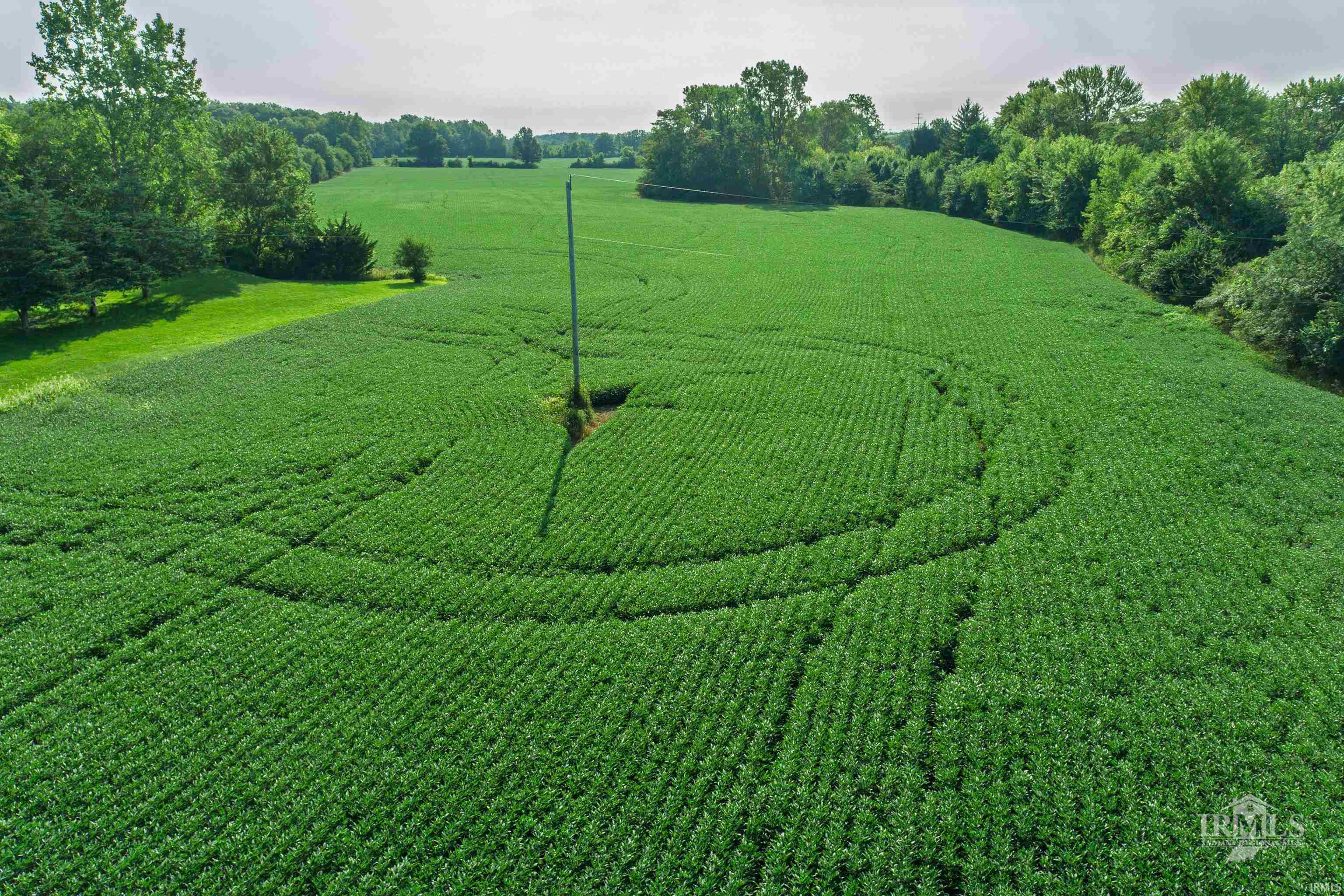 0 Moore Muncie, IN 47304 - Photo 10 of 23