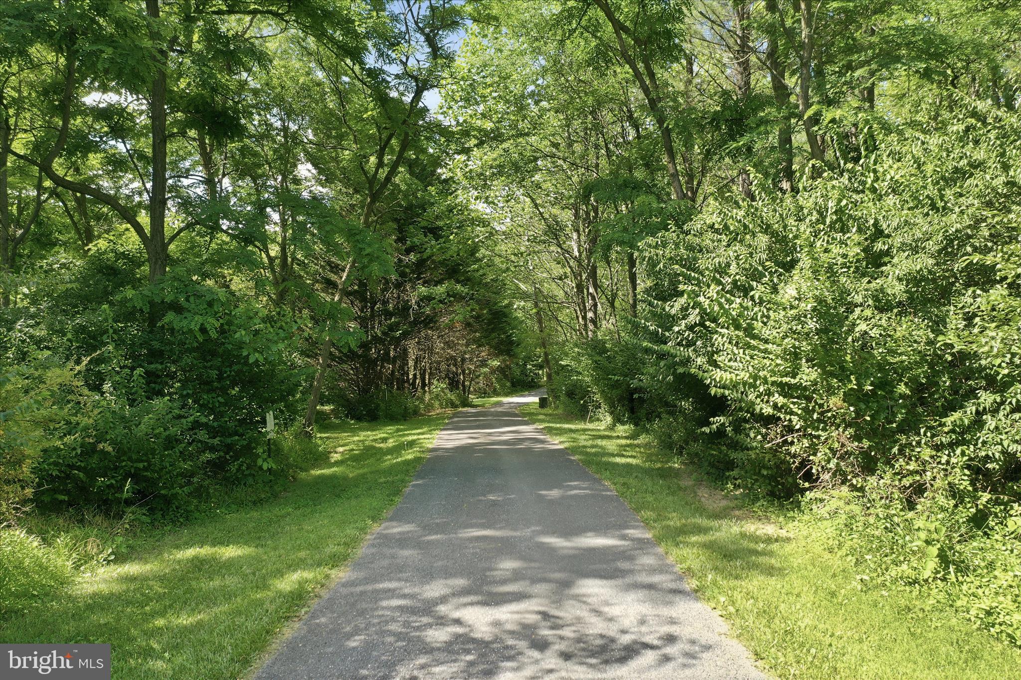 21615 Ridenour Road Boonsboro, MD 21713 - Photo 73 of 81