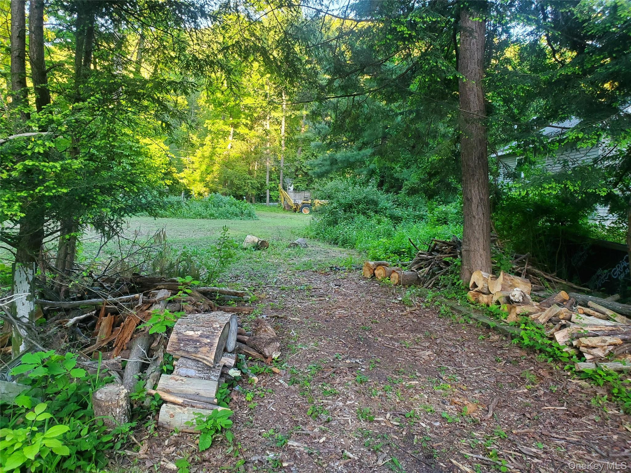 6-8 Grove Street Godeffroy, NY 12729 - Photo 4 of 6