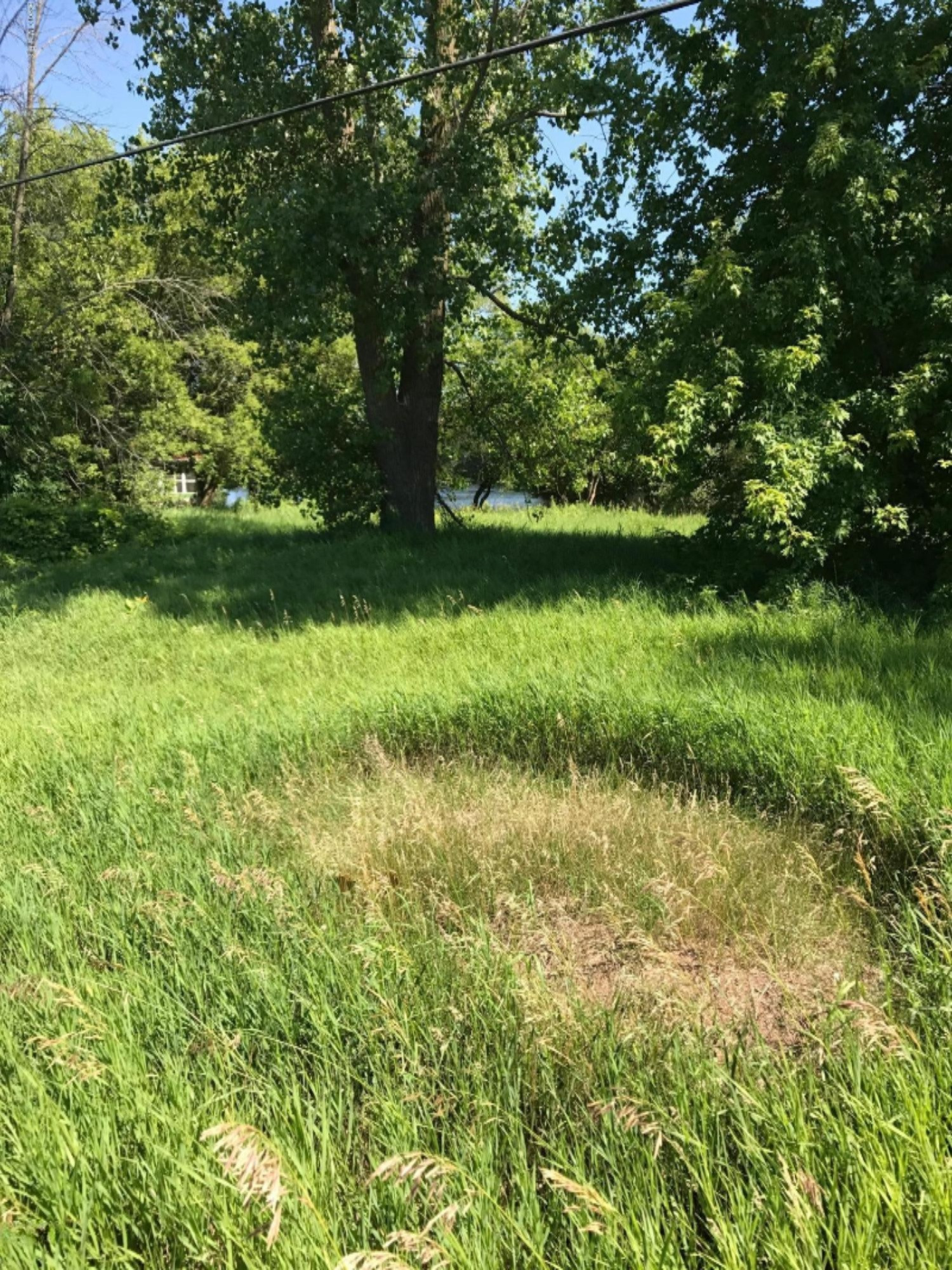 Lot 74 Stanton Road Stanton, MI 48888 - Photo 13 of 27 IMG_1090