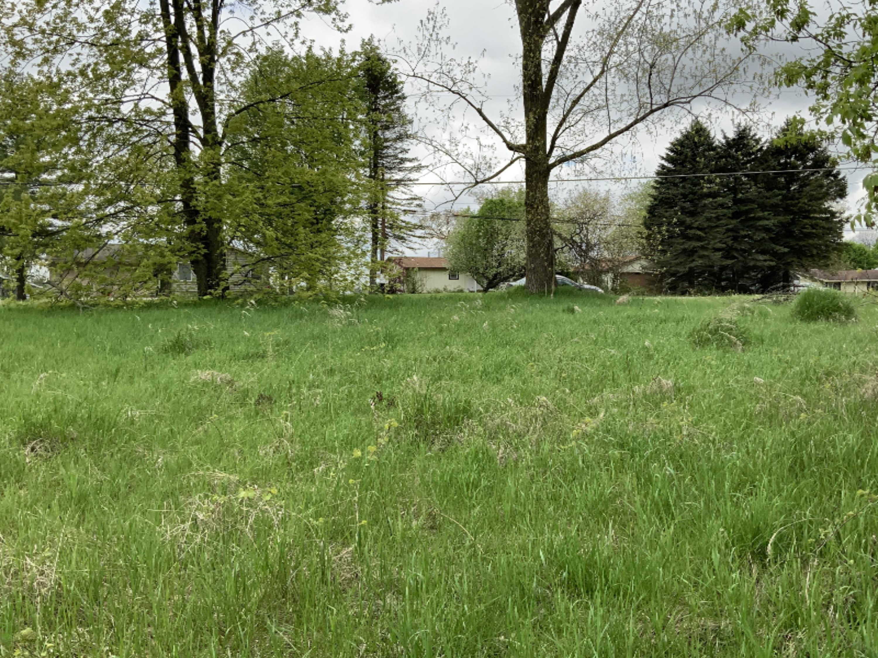 Lot 74 Stanton Road Stanton, MI 48888 - Photo 16 of 27 868A695F-872B-46DD-B630-0C546885B1CA