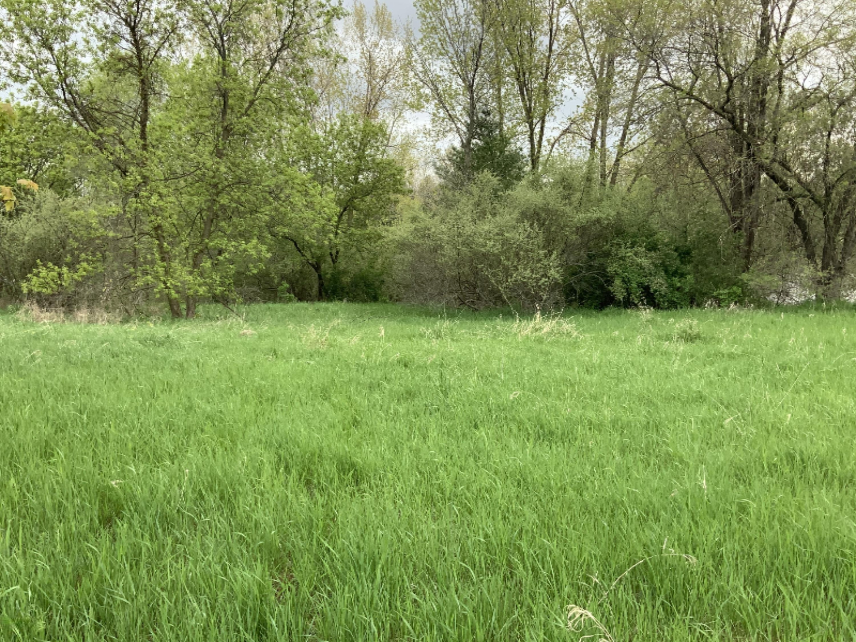 Lot 74 Stanton Road Stanton, MI 48888 - Photo 17 of 27 F5162A9C-FA93-4DEC-AE68-2A74081655ED