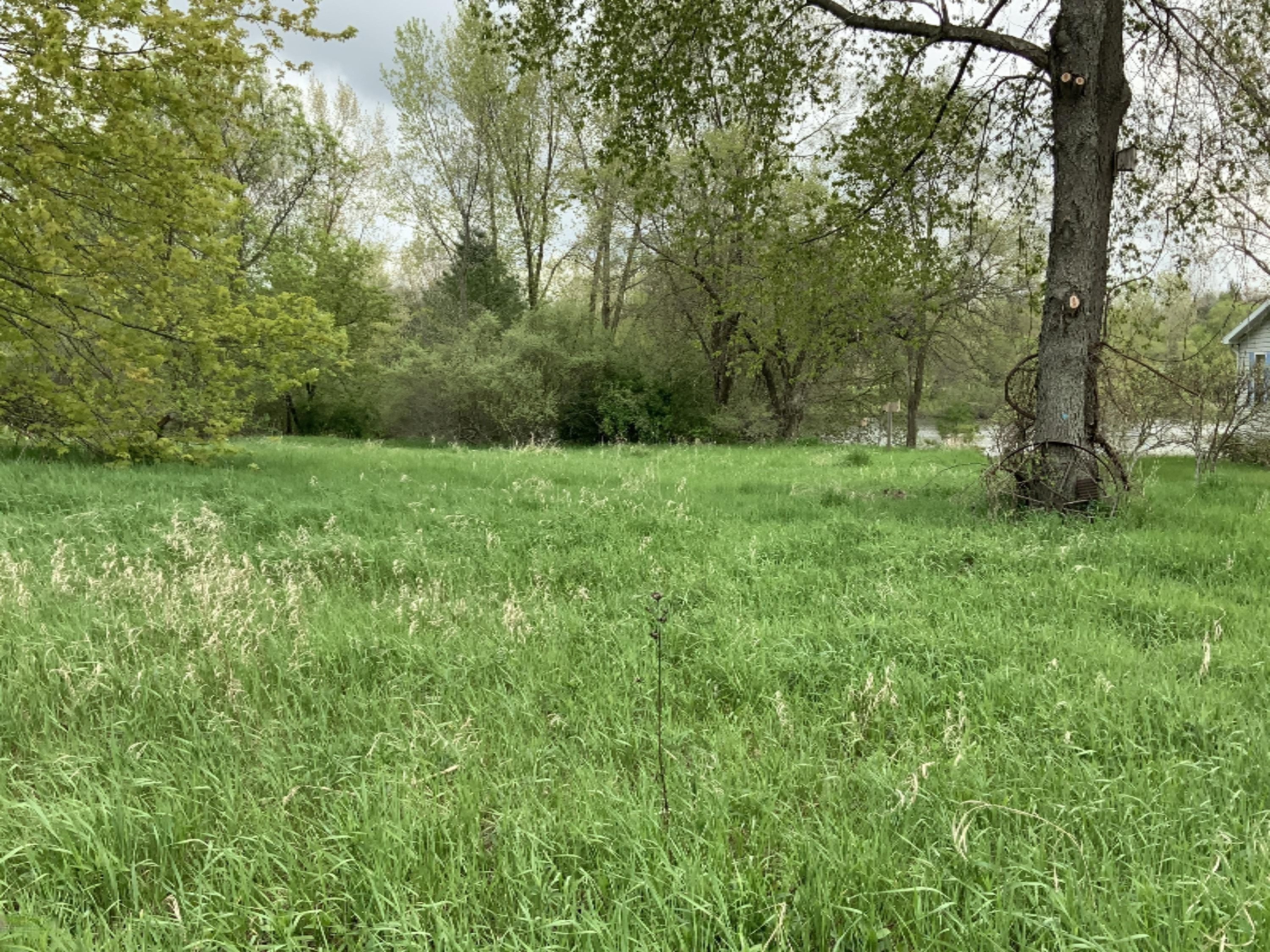 Lot 74 Stanton Road Stanton, MI 48888 - Photo 18 of 27 483F1839-9F30-4925-8BFE-382C82FFDE1B