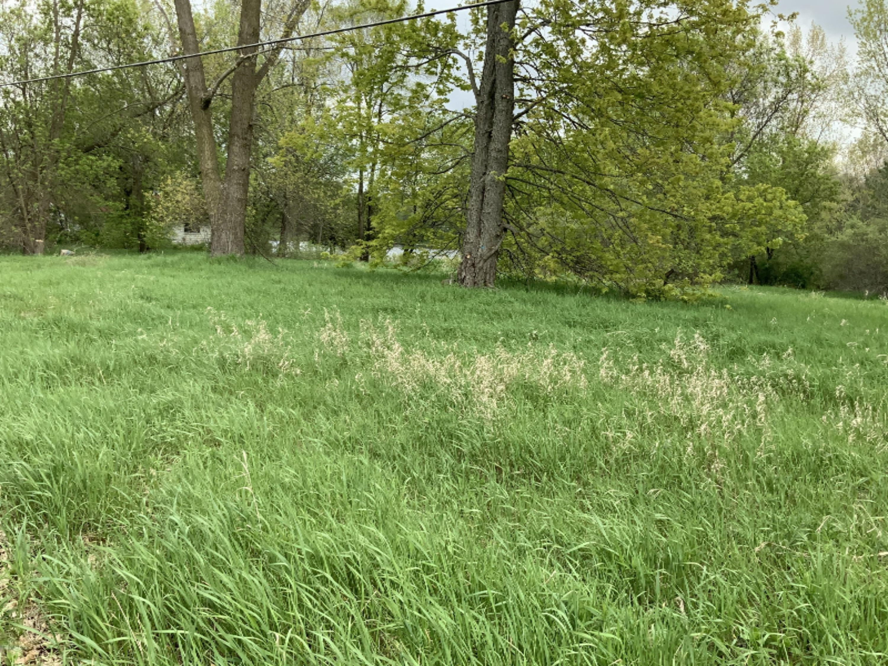 Lot 74 Stanton Road Stanton, MI 48888 - Photo 19 of 27 86CA3348-930B-47E8-BE1E-1E759BFA1CDB