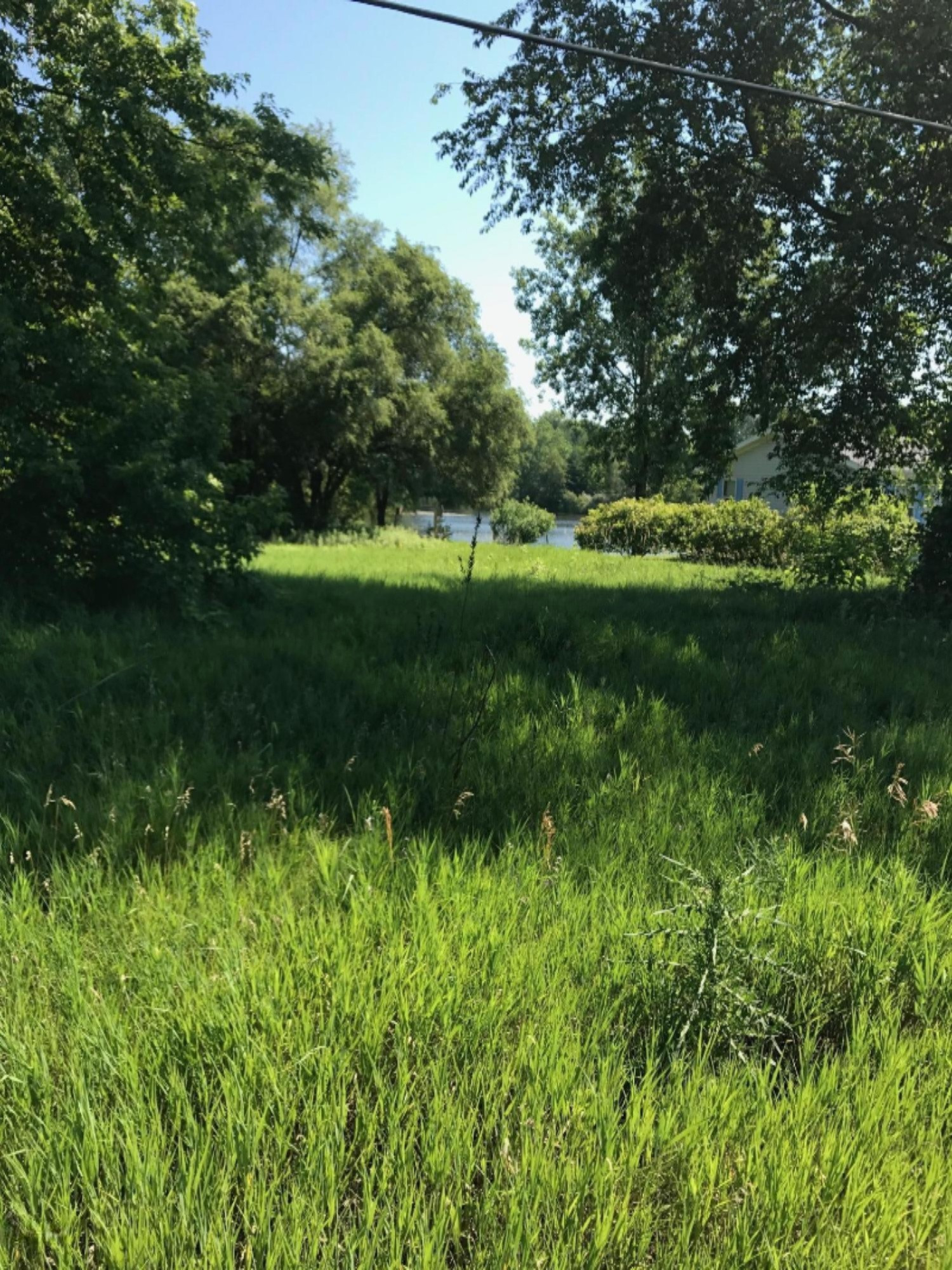 Lot 74 Stanton Road Stanton, MI 48888 - Photo 10 of 27 IMG_1088