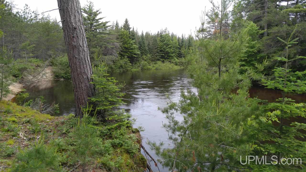 13.44-acres Stutts Road Manistique, MI 49854 - Photo 4 of 19