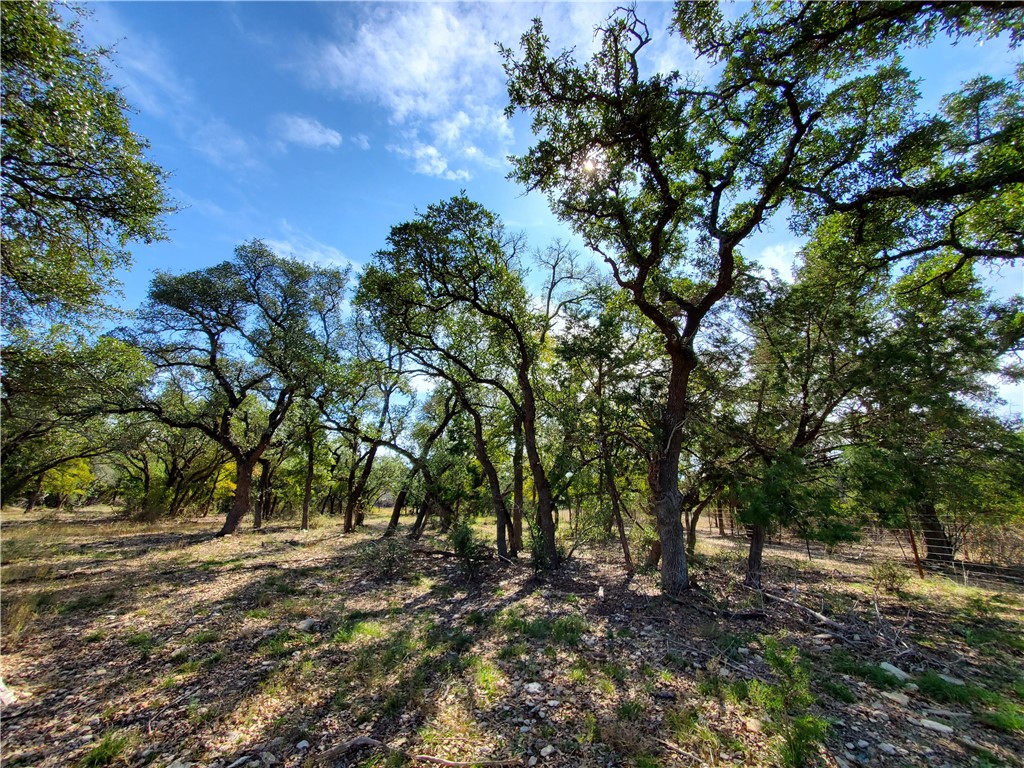 17965 Stillman Valley Road, Unit TRACT 1 Florence, TX 76527 - Photo 1 of 1 Gallery Image 1