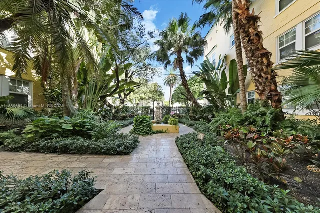a view of a pathway with plants