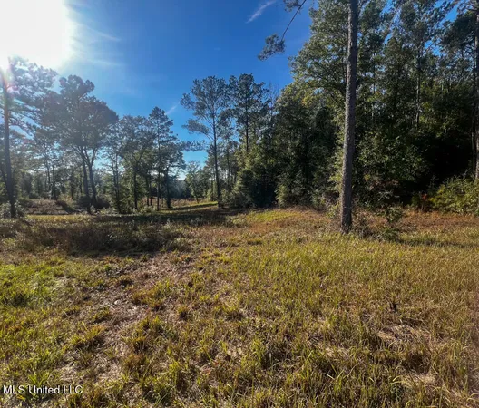 $240,625 | 198 E Highway, Lucedale, MS 39452