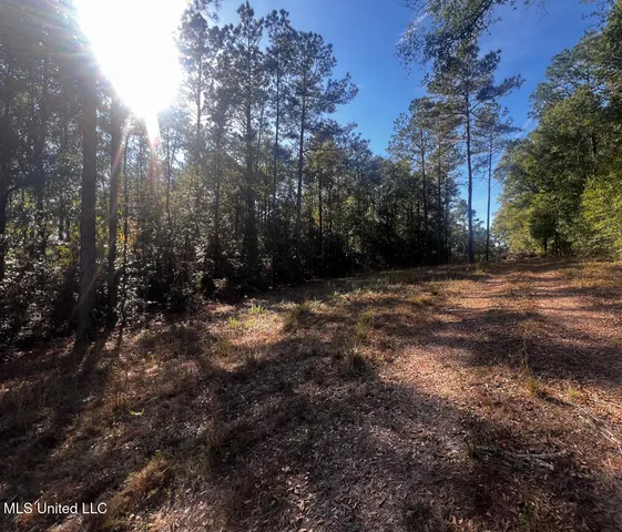 $240,625 | 198 E Highway, Lucedale, MS 39452