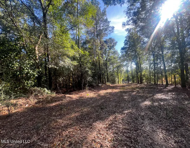 $240,625 | 198 E Highway, Lucedale, MS 39452