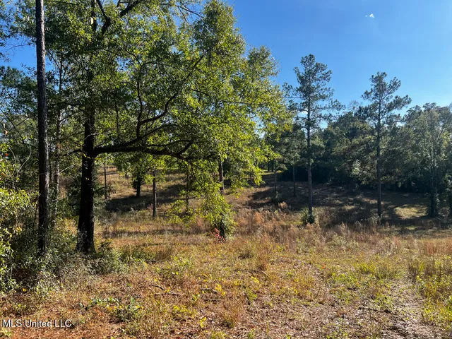 $240,625 | 198 E Highway, Lucedale, MS 39452