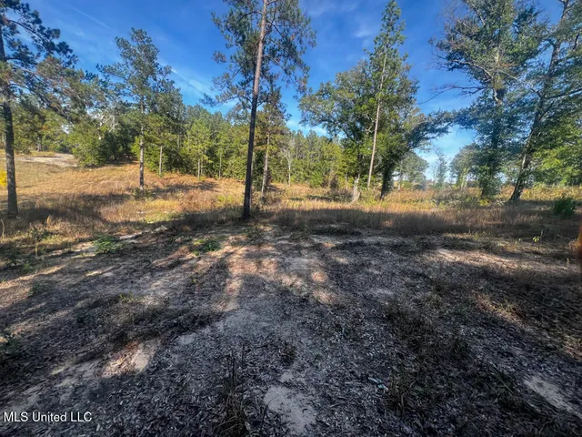 $240,625 | 198 E Highway, Lucedale, MS 39452