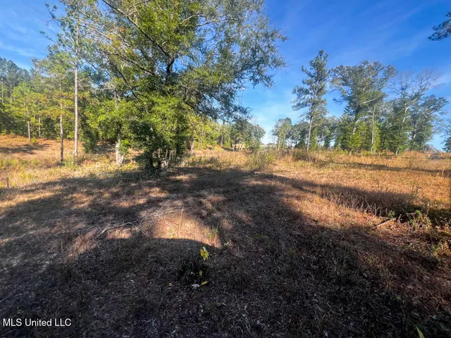 $240,625 | 198 E Highway, Lucedale, MS 39452