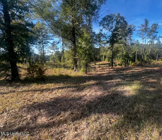 $240,625 | 198 E Highway, Lucedale, MS 39452