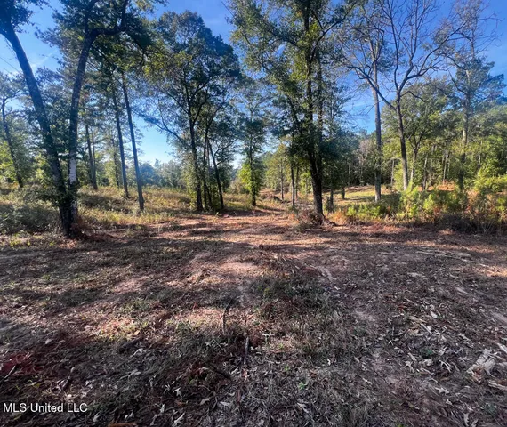 $240,625 | 198 E Highway, Lucedale, MS 39452