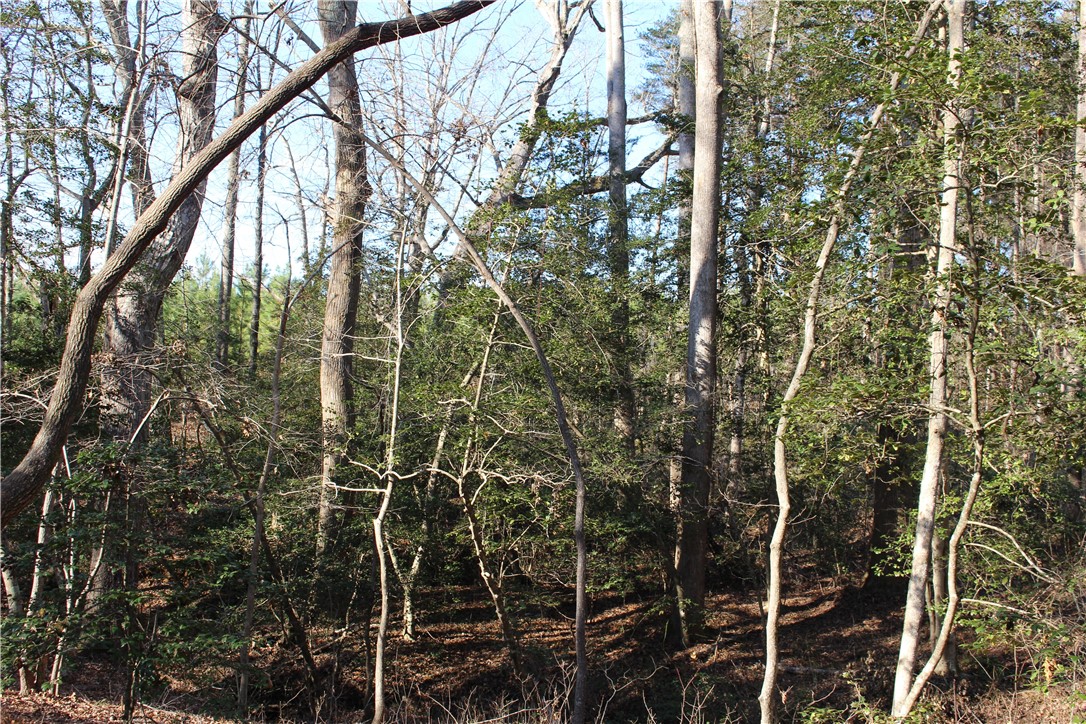 374 Wilkins Road Campobello, SC 29322 - Photo 11 of 19 Gallery Image 11