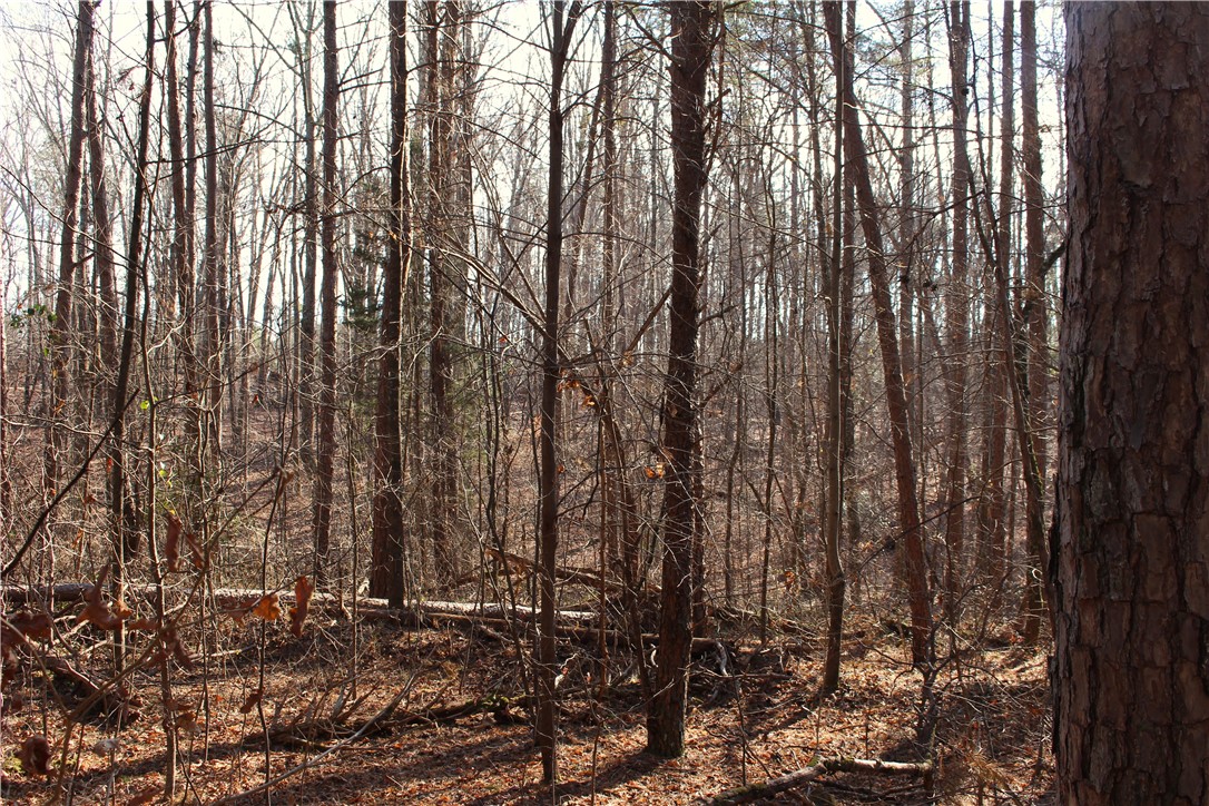 374 Wilkins Road Campobello, SC 29322 - Photo 14 of 19 Gallery Image 14