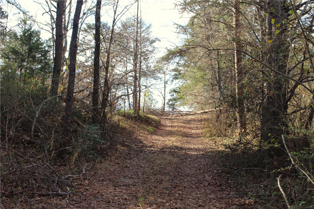 374 Wilkins Road Campobello, SC 29322 - Photo 15 of 19 Gallery Image 15