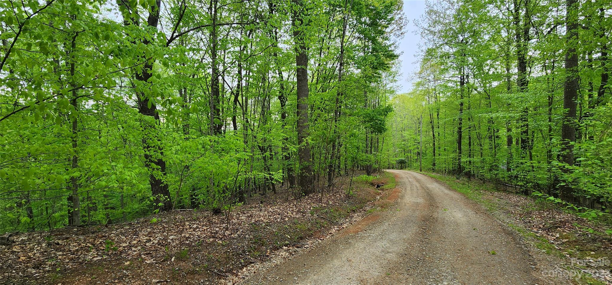 79 Apgar Road Candler, NC 28715 - Photo 1 of 17 a view of a yard with plants and large trees